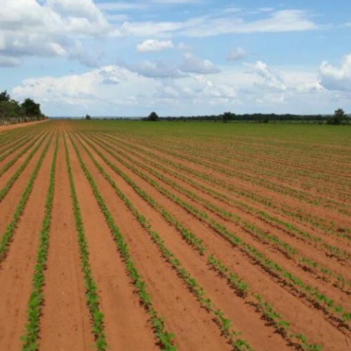 LV Site Molde Image 1080x520 (1)