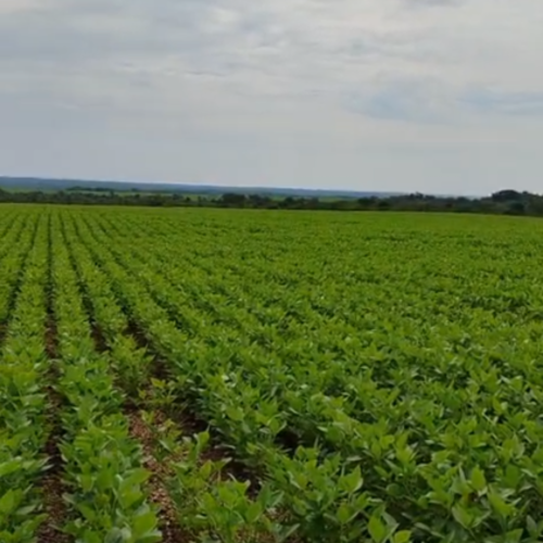 LV Site Molde Image 1080x520 (11)