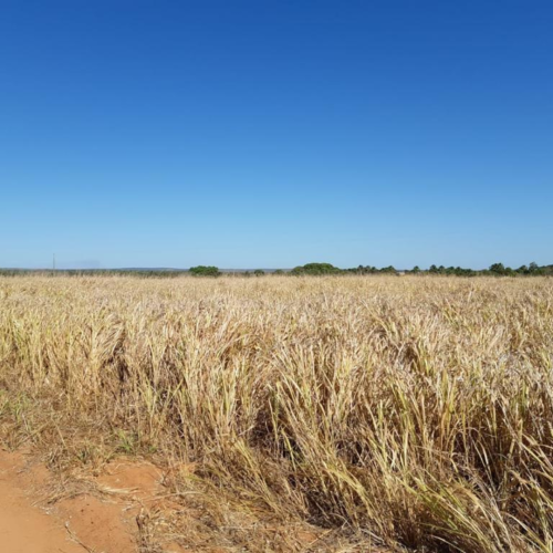 LV Site Molde Image 1080x520 (12)