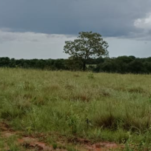 LV Site Molde Image 1080x520 (2)