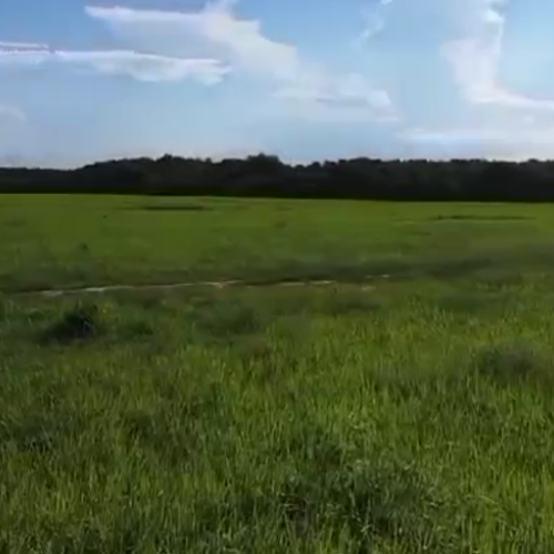 LV Site Molde Image 1080x520